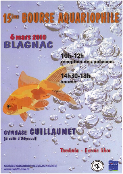 Affiche bourse
