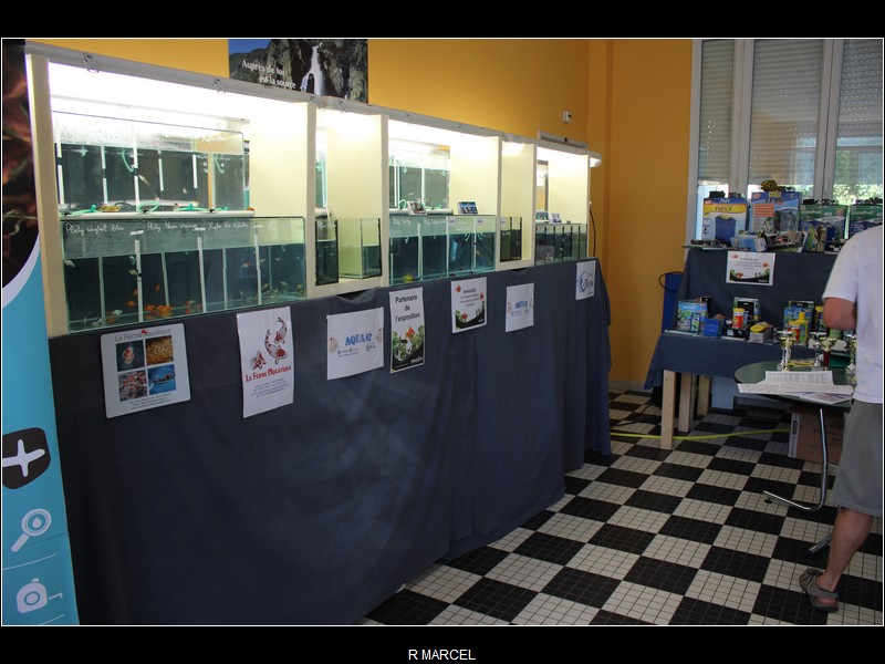 Bourse Agen