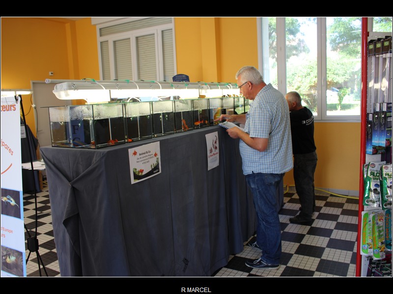 Bourse Agen
